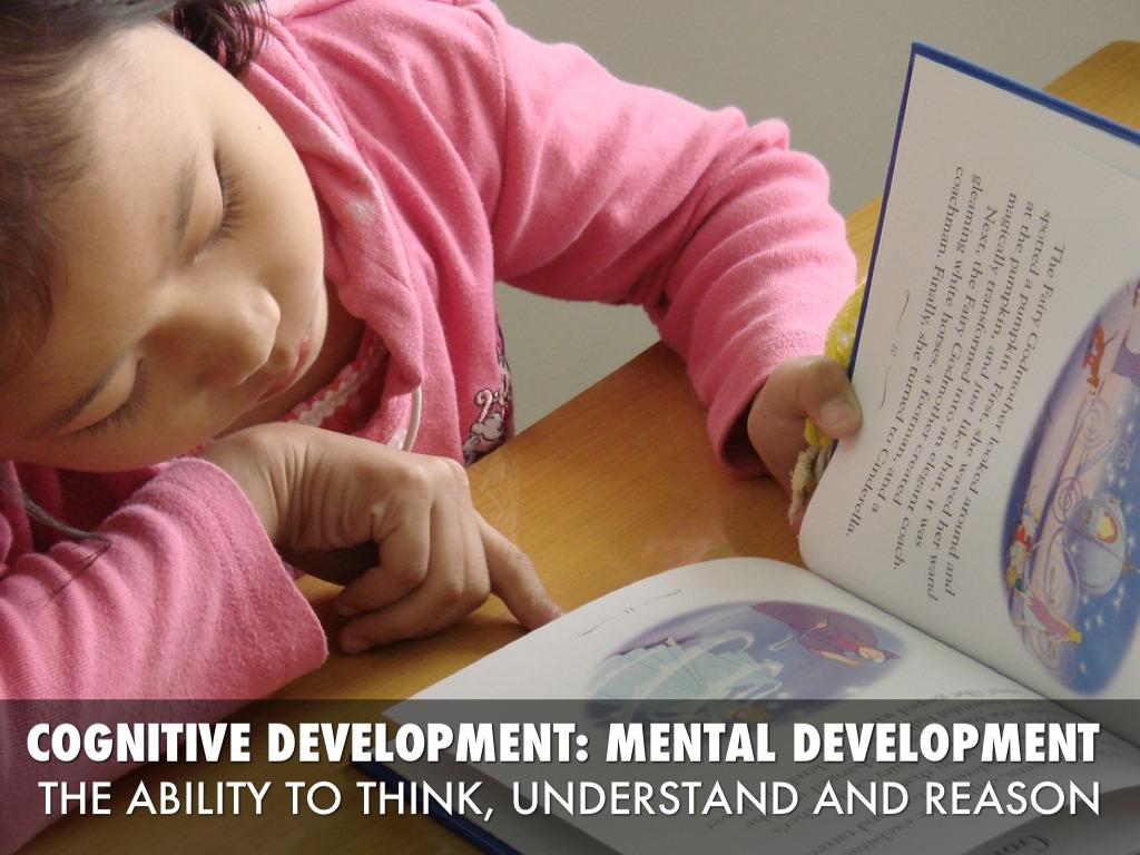 Cognitive Development In Preschool By Bernardo Alegria