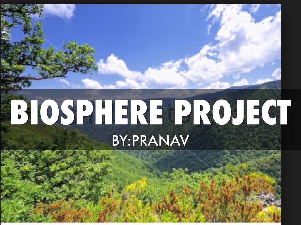 Forest Biosphere 
