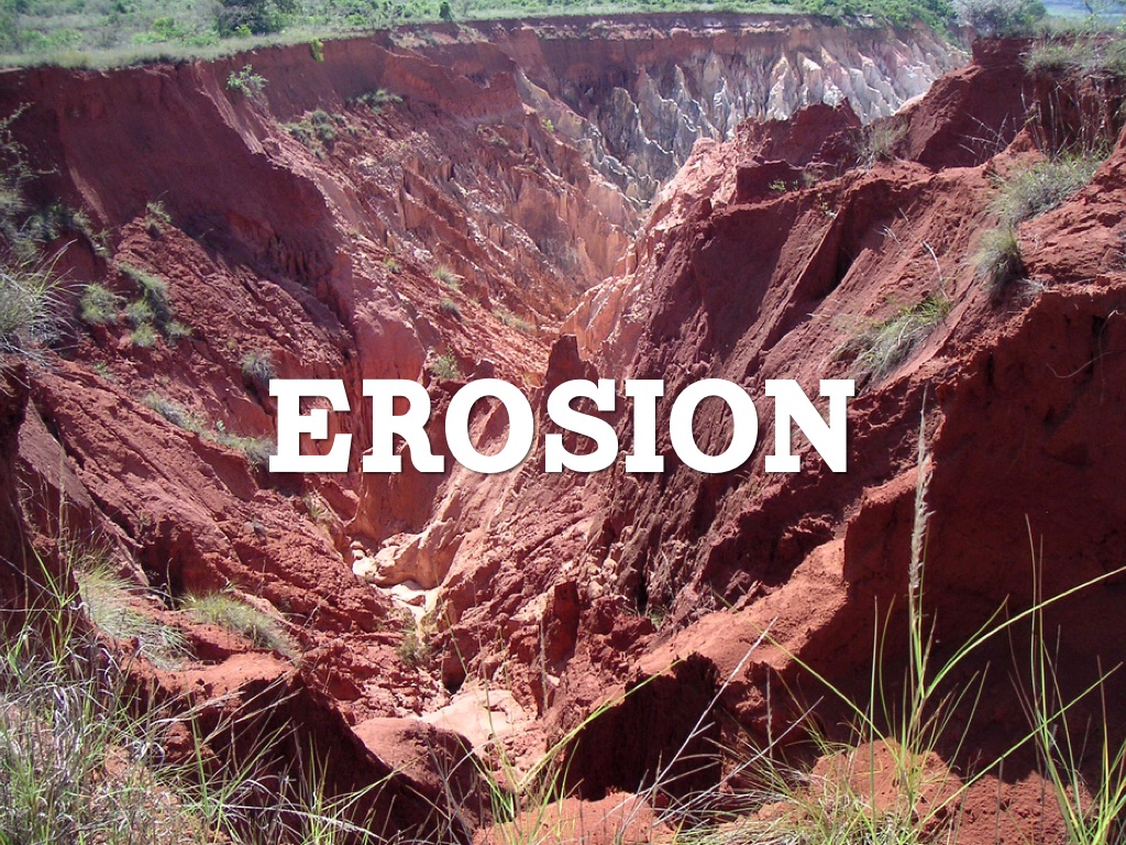 Scienchttp://www.haikudeck.com/p/8TUMhumQgGe 