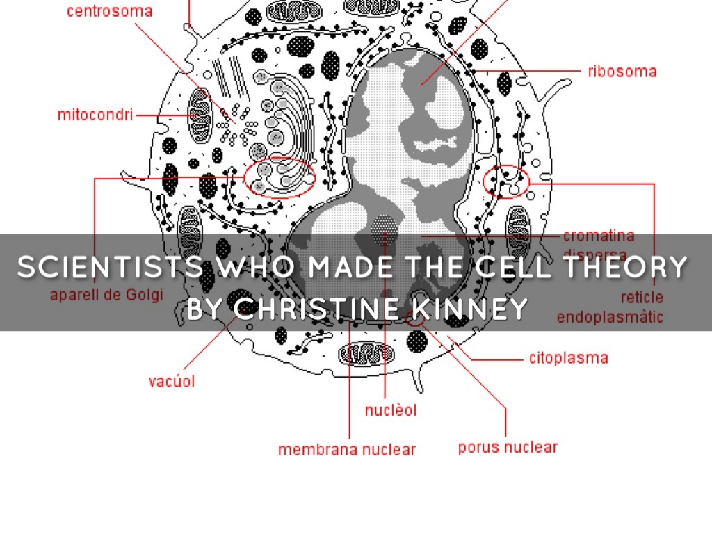  The Cell Theory Scientists 