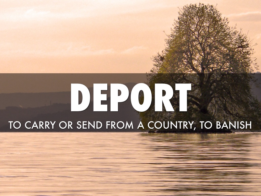 Port Latin Root by Jairo Castaneda