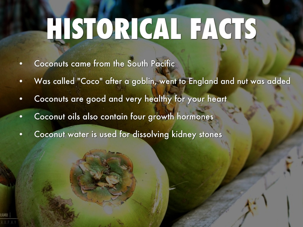 Coconuts by Robert Anitak