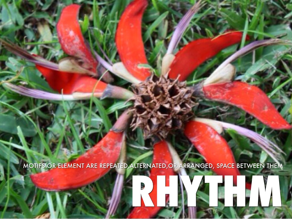 rhythm