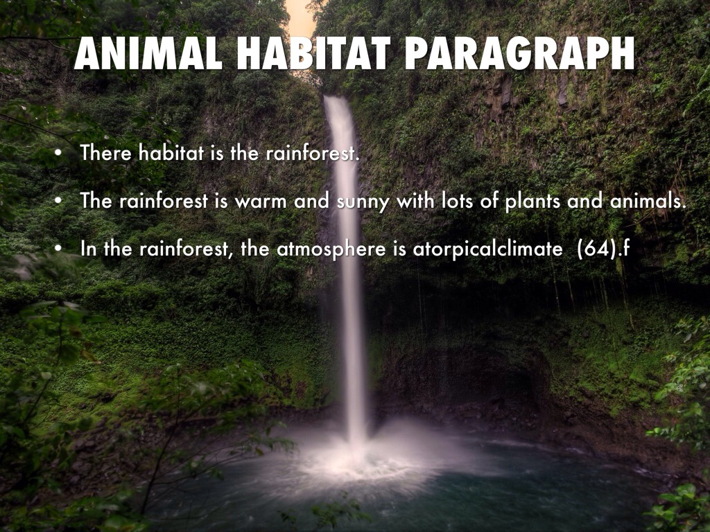 paragraph on plant and animal paragraph on plant and animal