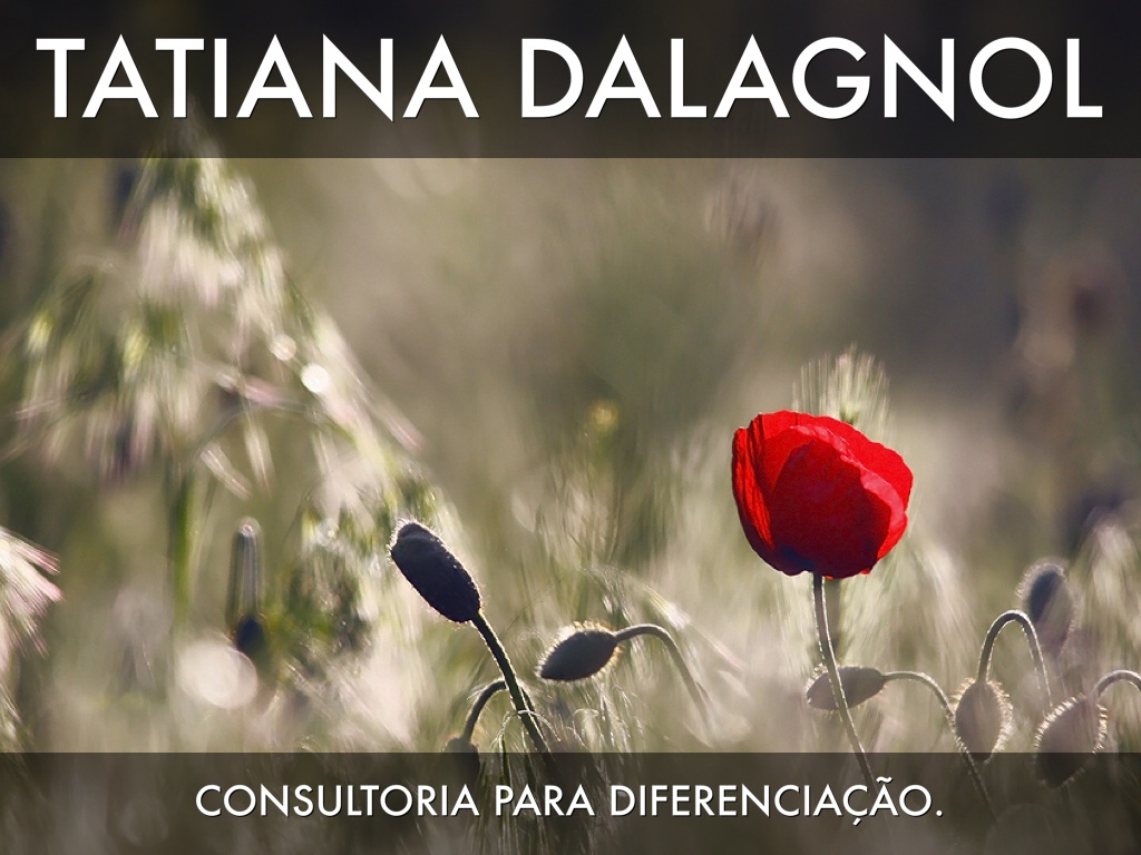 O que é o Haiku Deck?