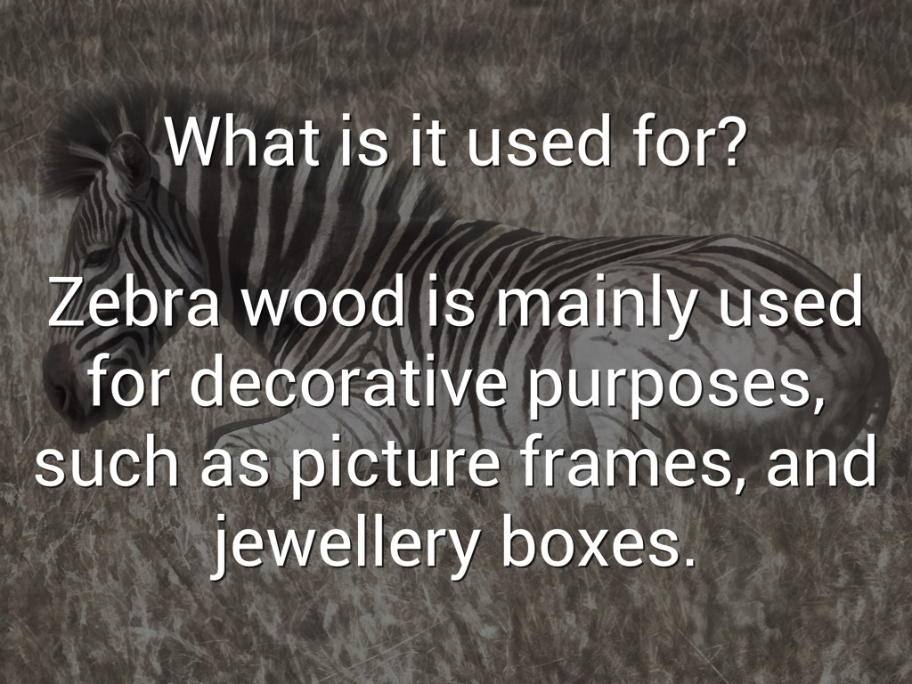 Zebra Wood by engineertechclass+1