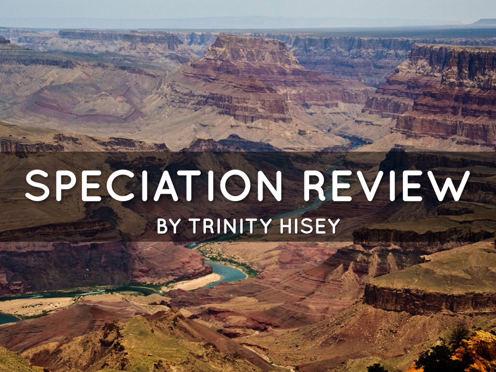 6_hiseytrinity_EvolutionSpeciationReview