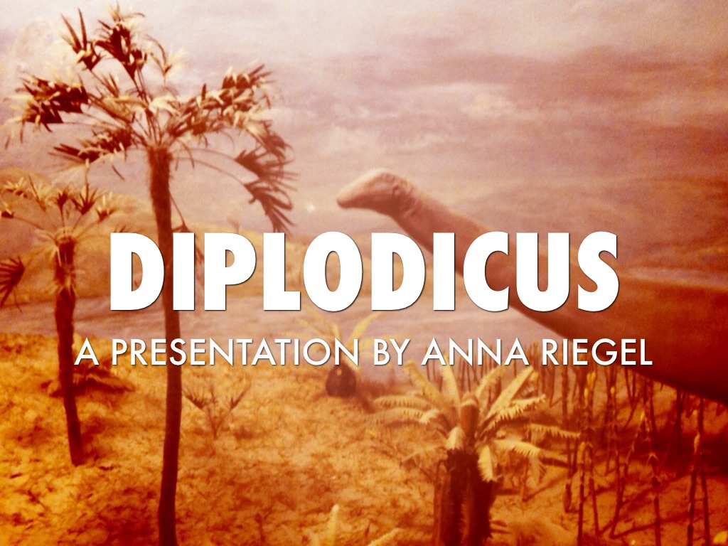 Diplodicus