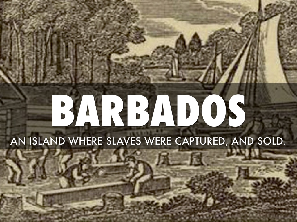 10 History Definitions by Andrew Snelling