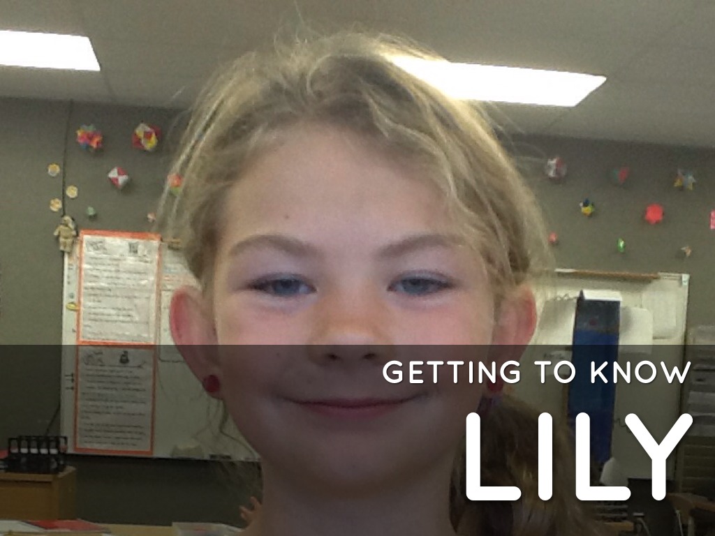 Lily