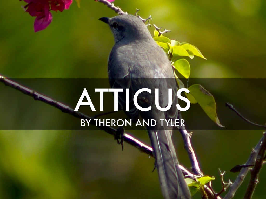 Atticus Theron/Tyler