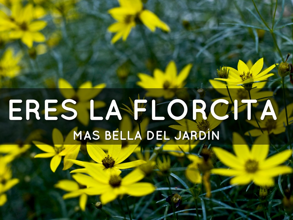 Feliz Aniversario Bebita!