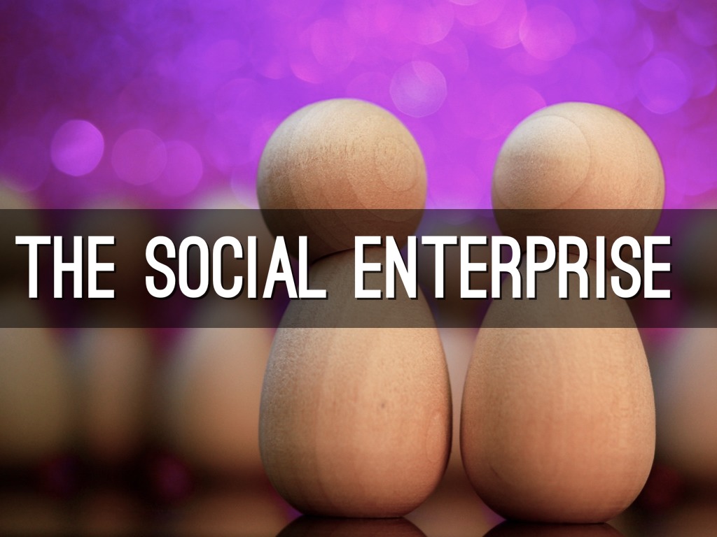 The Social Enterprise 