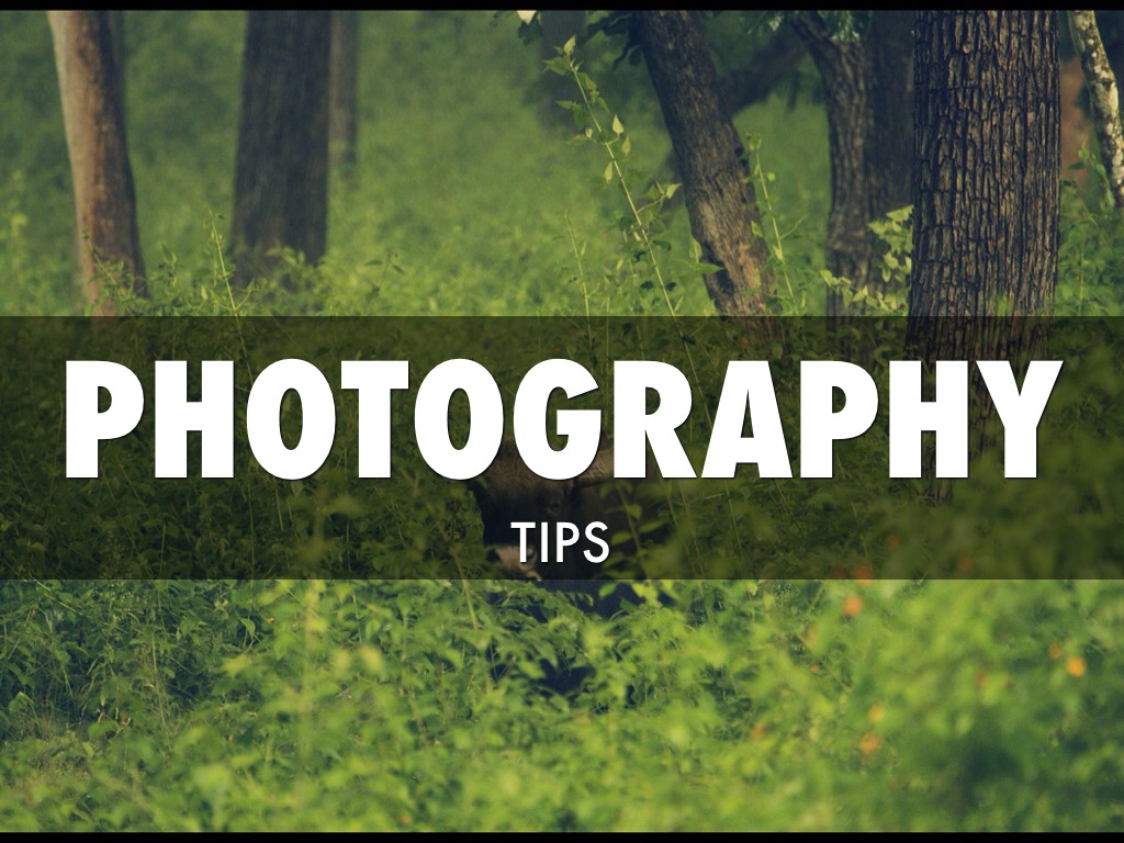 Photography Tips