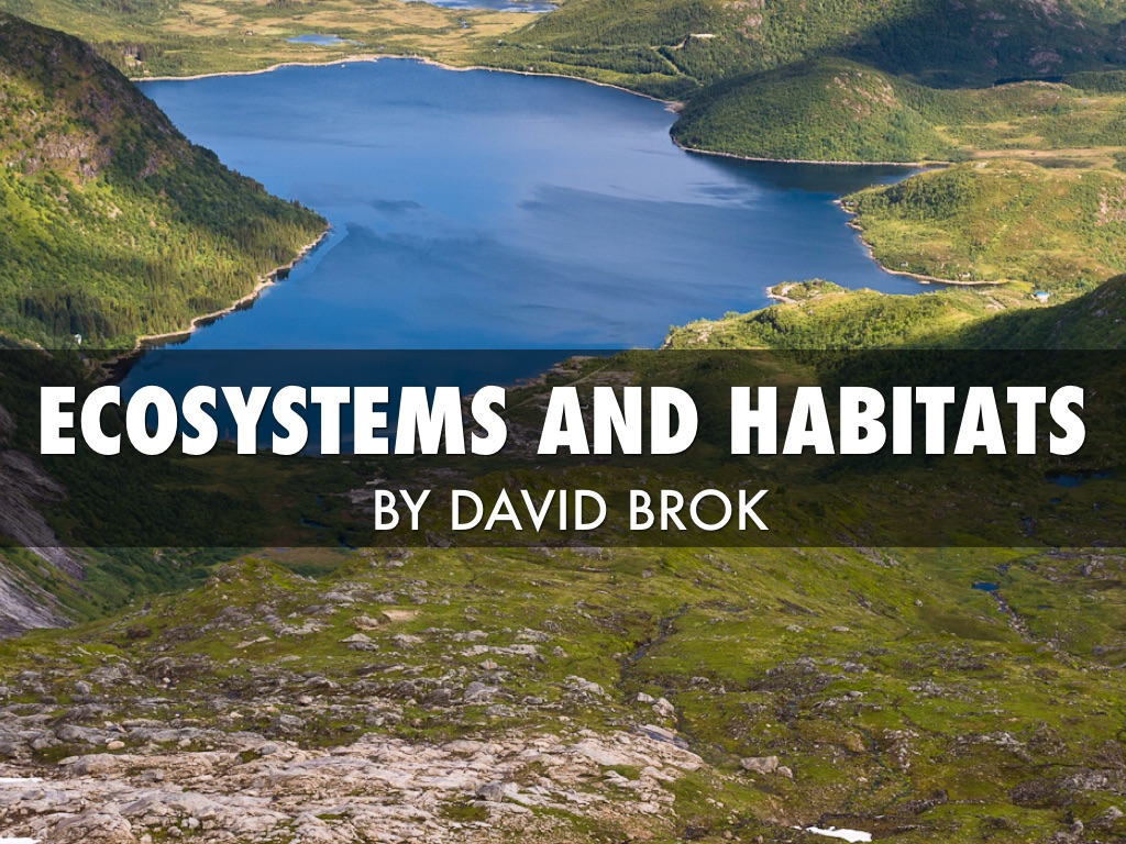 Ecosystems And Habitats by David Brock