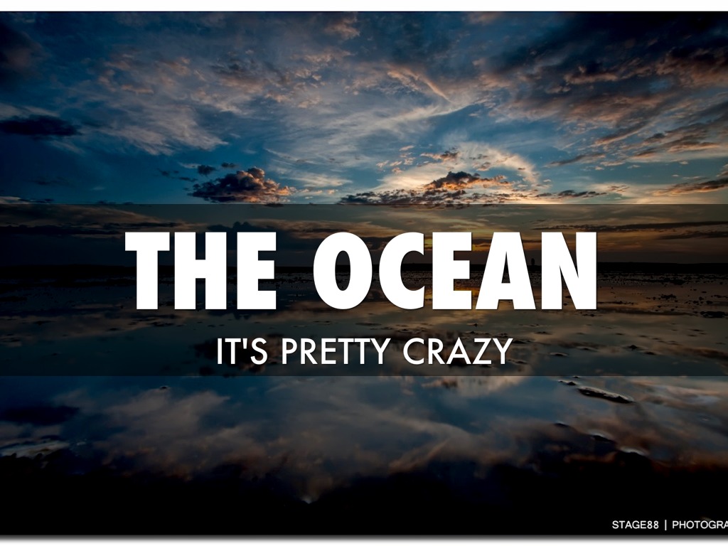 The Ocean