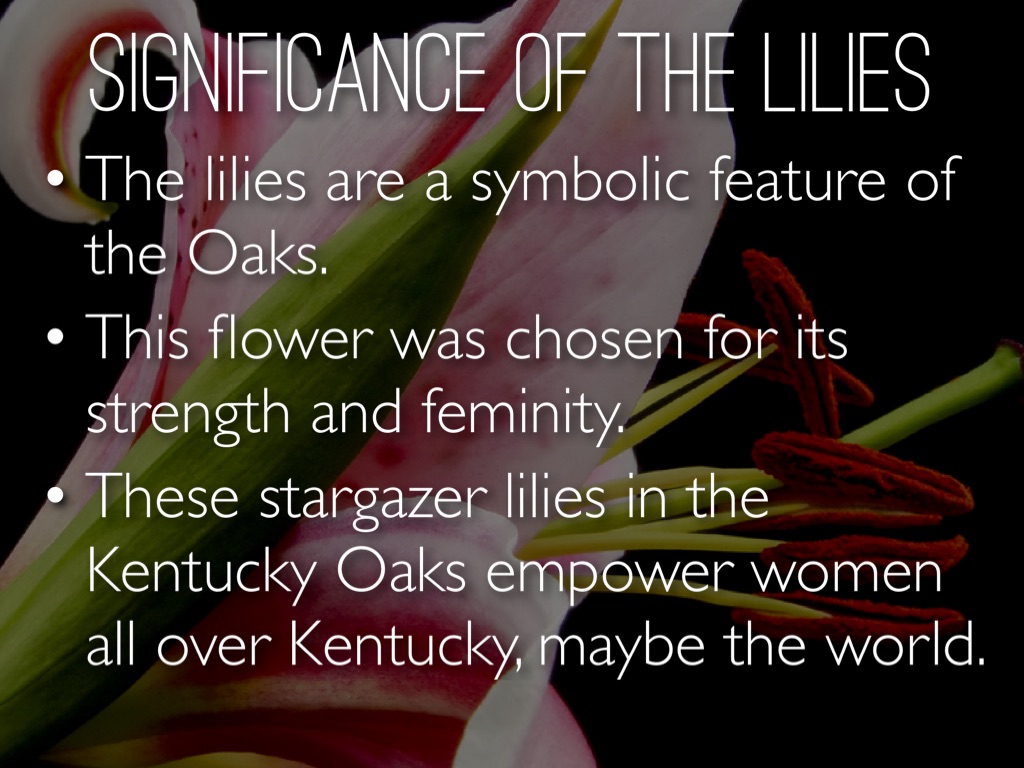 Lilies For The Fillies by Kelly Hynes