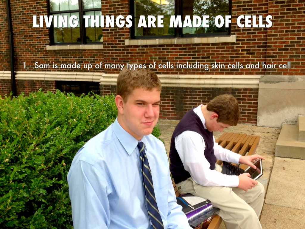 Sam and Matthew's Presentation