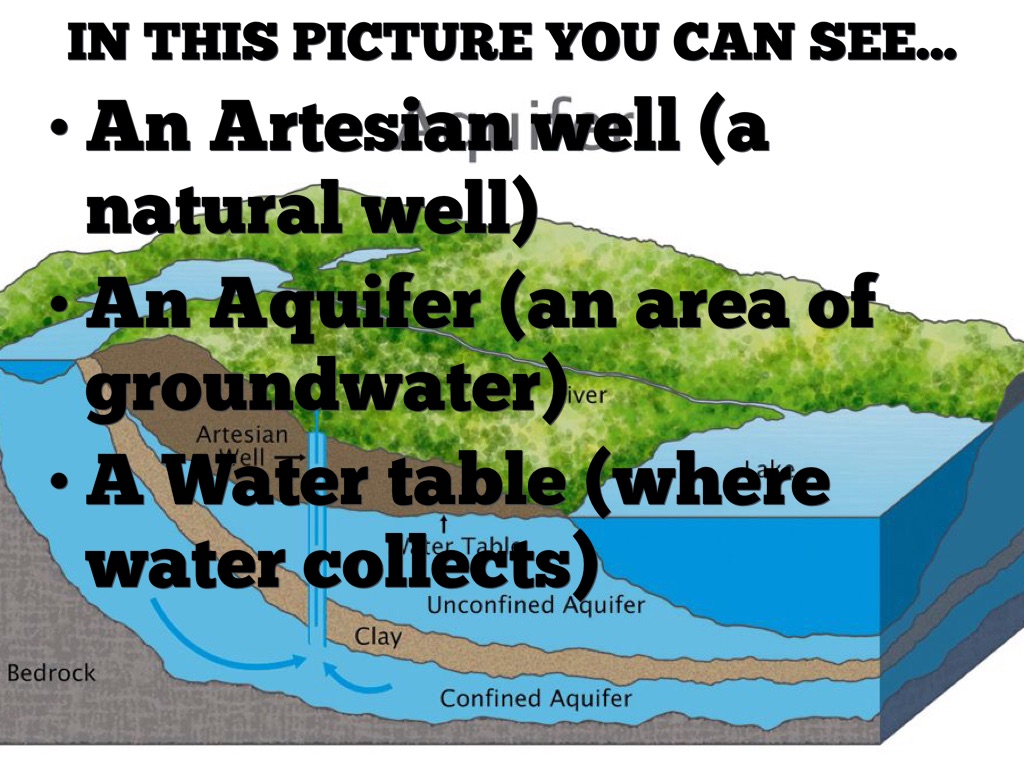 Vocab Words by Patrick Henkel