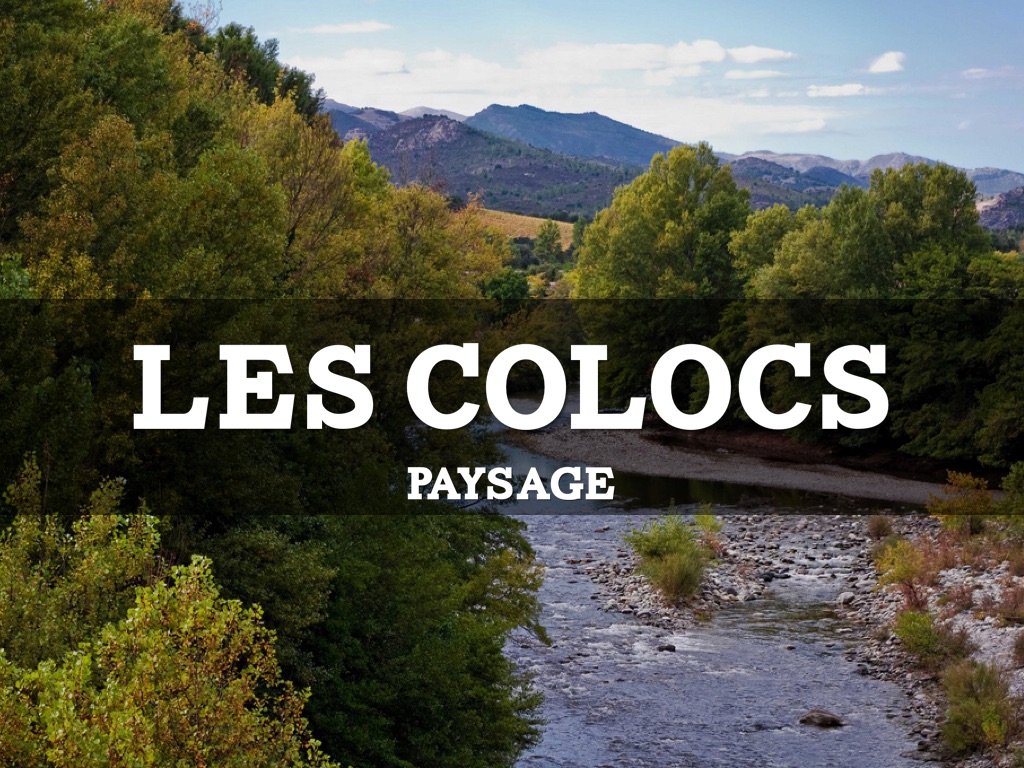 Paysage les coloc