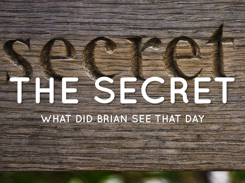 Hatchet by Mallory Johnson