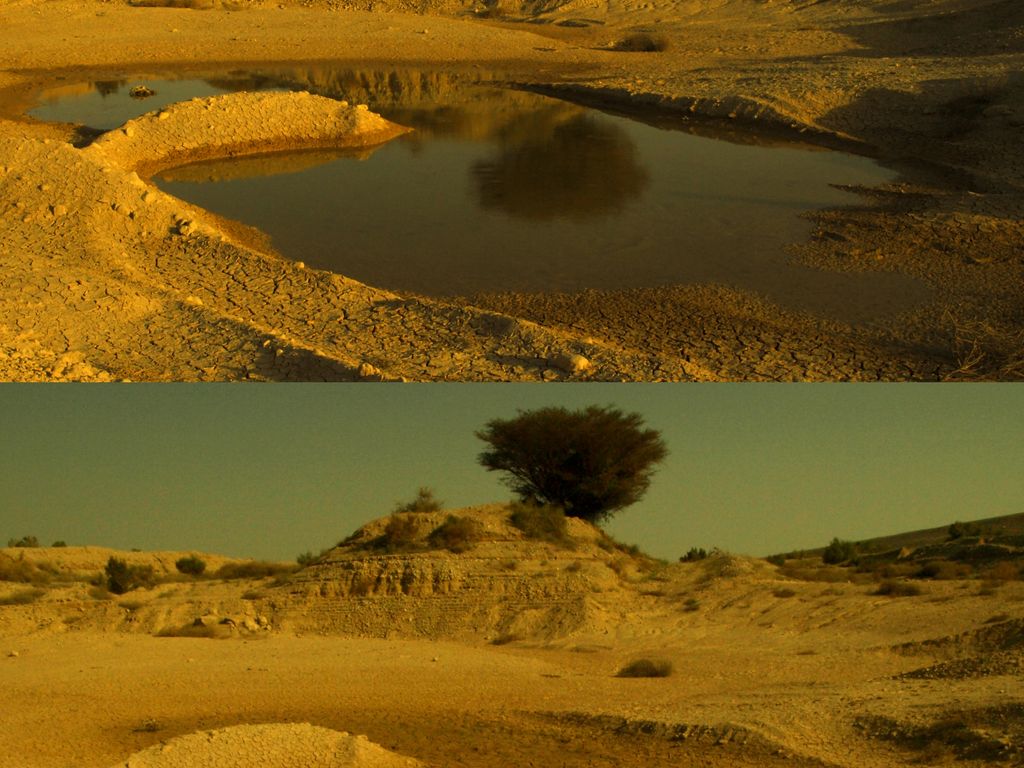 полезные продукты для здоровья зубов. африки пригодные или непригодные. вредные продукты для зубов. природа места непригодные для жизни людей картинки. вредные продукты для зубов и десен.