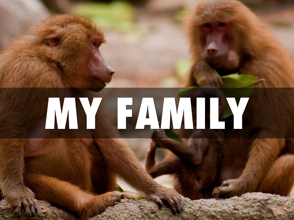MY FAMILY