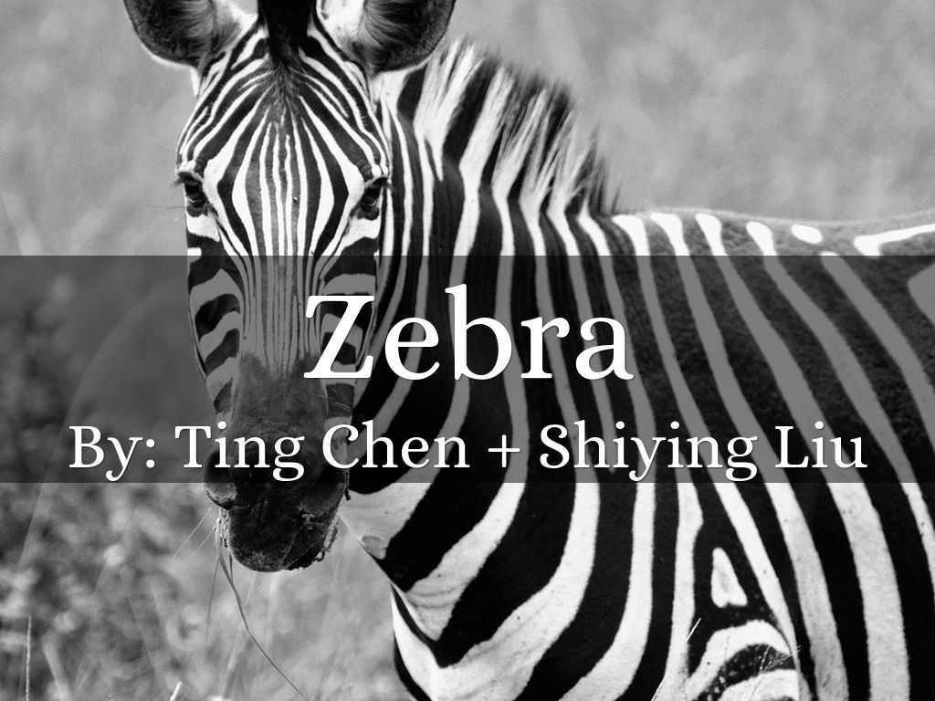 Copy of Copy of Title