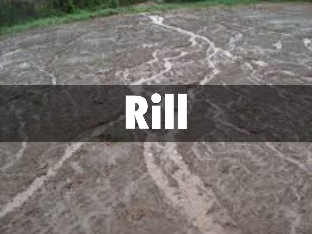 Rill