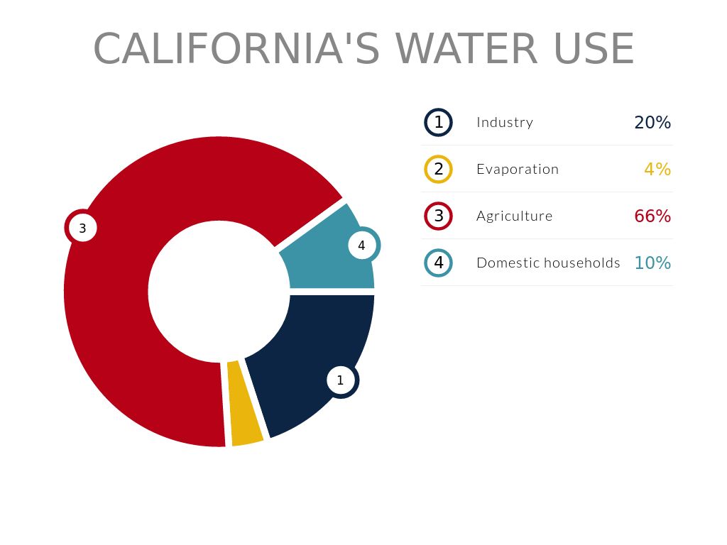 California's Drought Times Jake by Mindy Conry