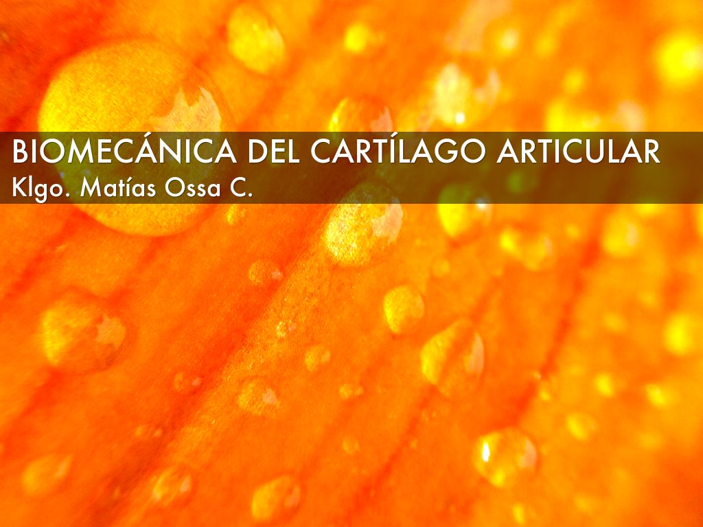 Biomecánica del Cartílago articular