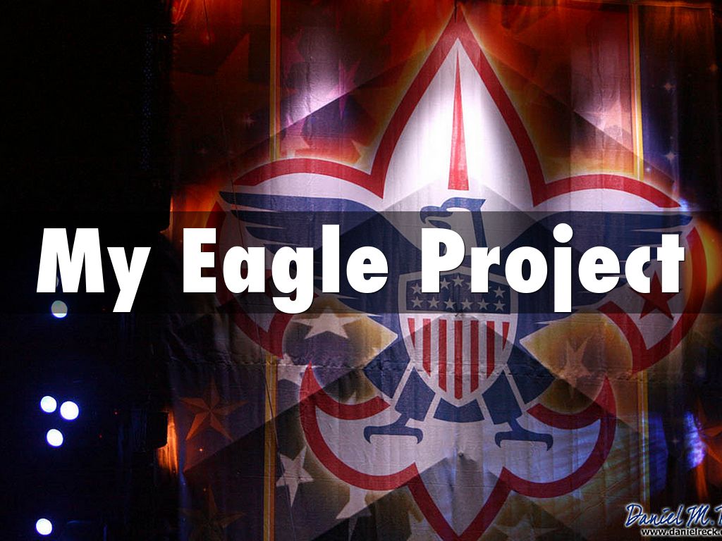 My Eagle Project