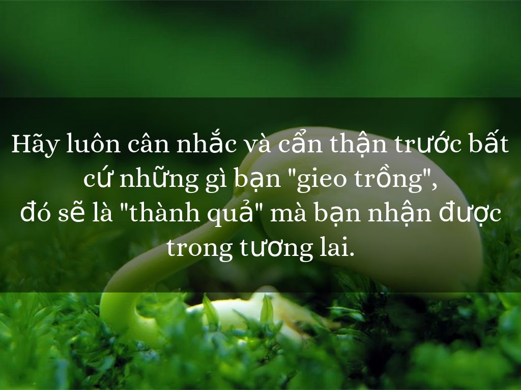 Hãy luôn cân nhắc và cẩn thận trước bất cứ những gì bạn "gieo trồng",   đó sẽ là "thành quả" mà bạn nhận được trong tương lai.