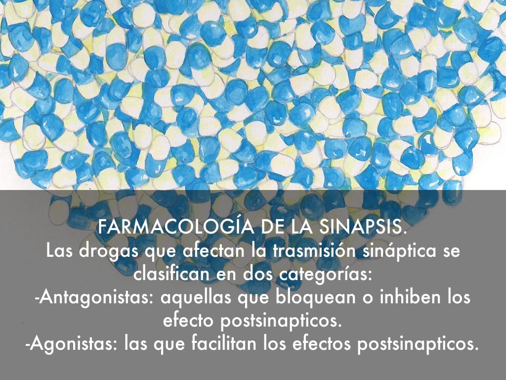 NEUROANATOMÍA SEGUNDA PARTE