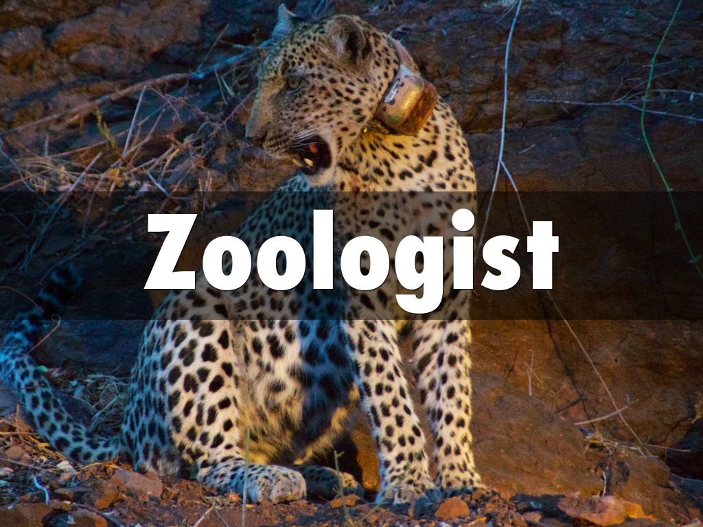 Zoologist By Hannah