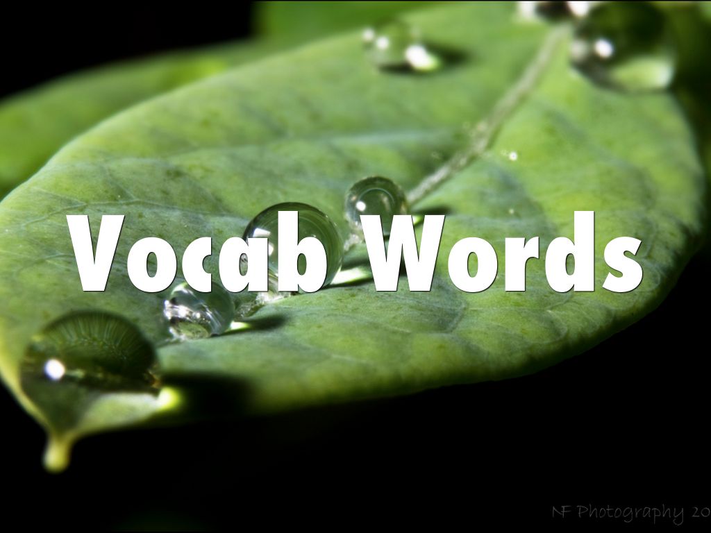Vocab Words