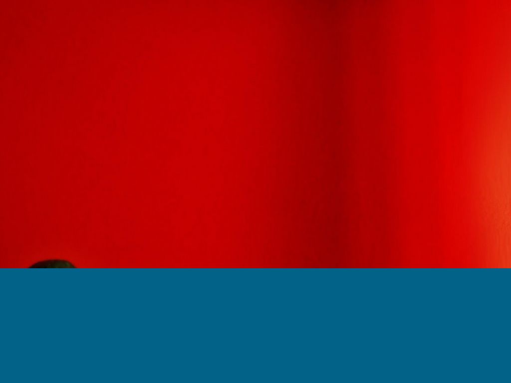 Copia de Status Update Haiku Deck Template