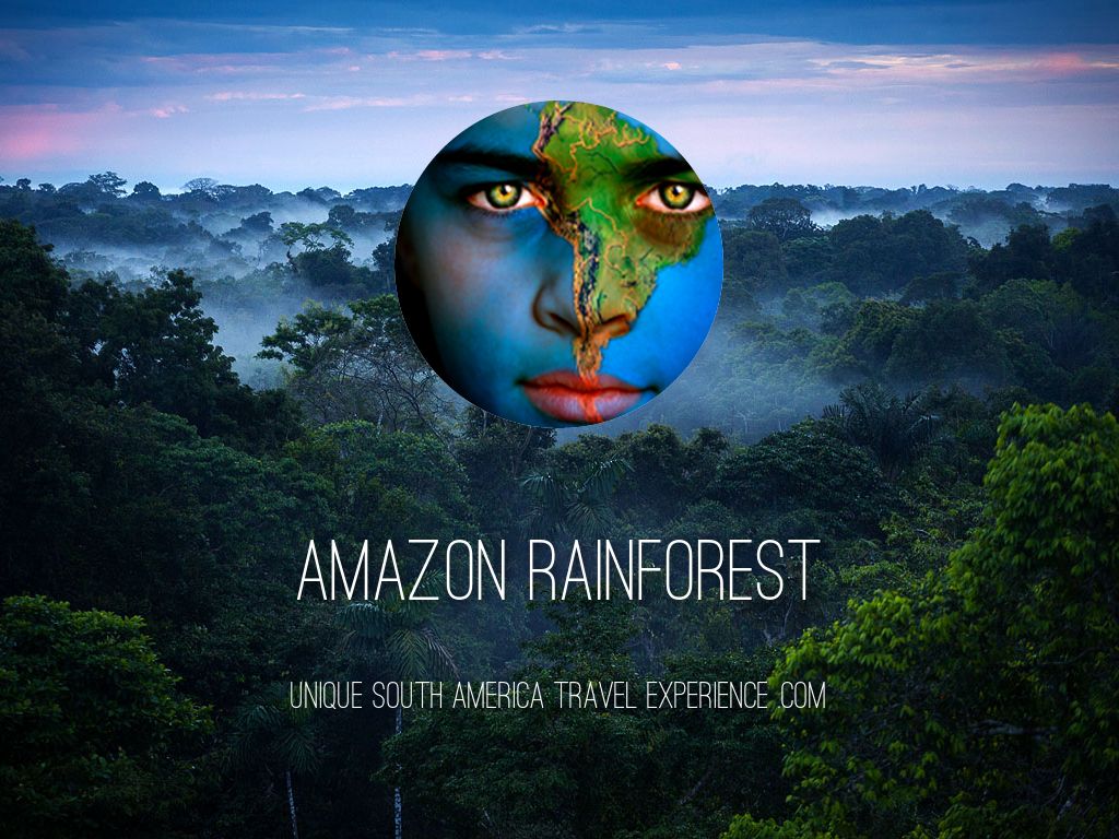 Amazon Rainforest by Daniel Moore