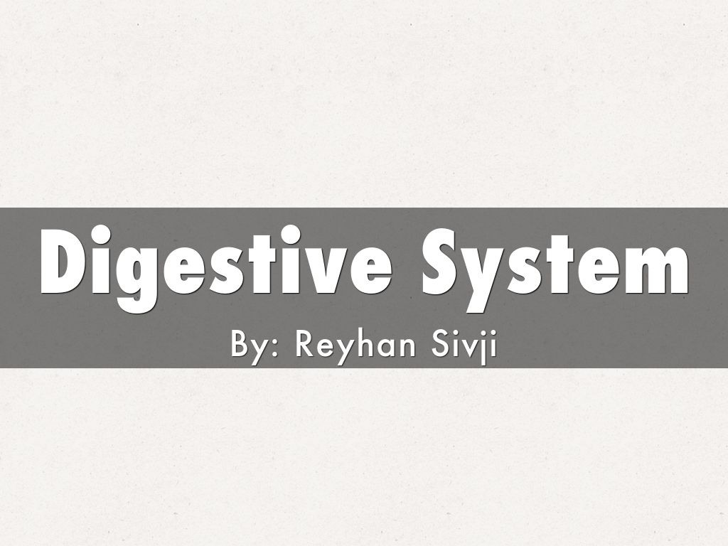 Digestive System