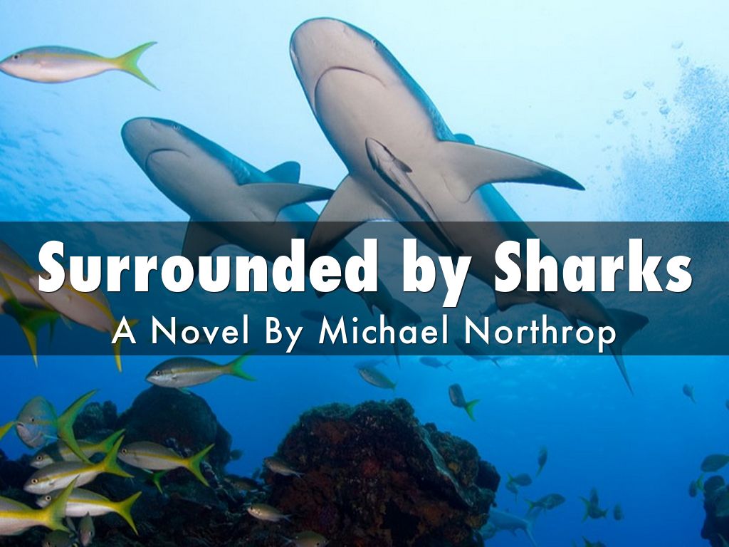 Surrounded by Sharks