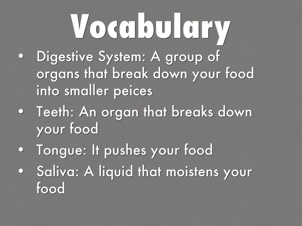 Digestive System by pdalal
