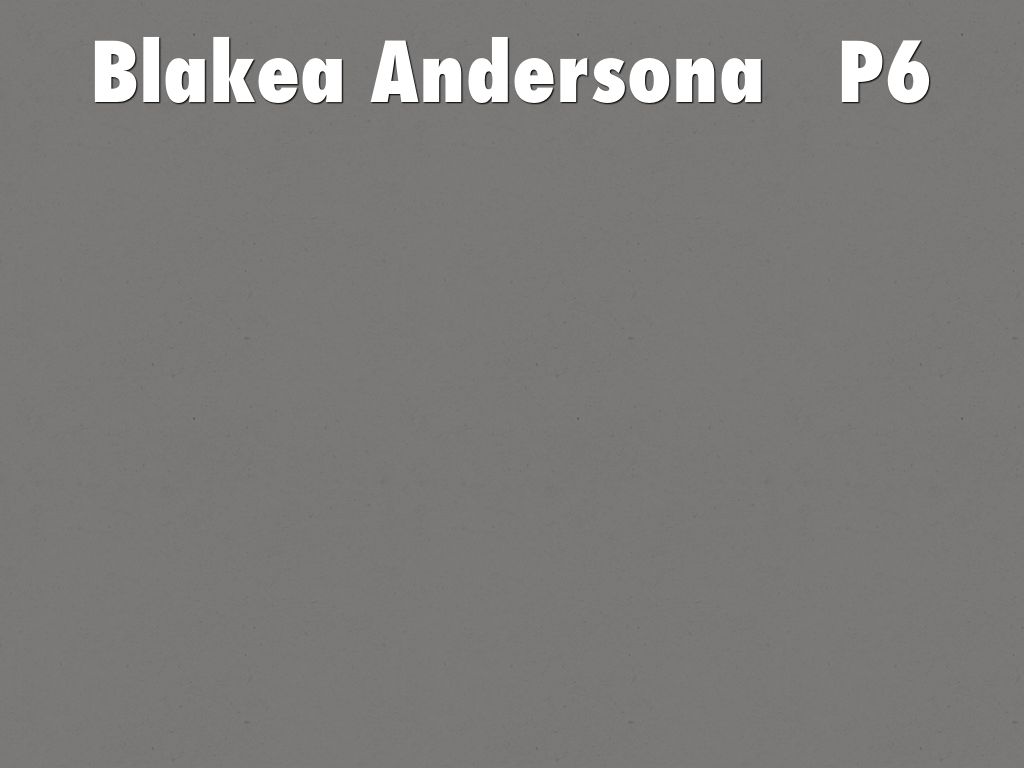 Copy of Blakea Andersona   P6