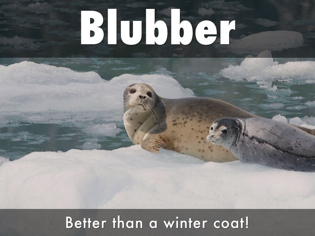 Blubber by Nicole Butters