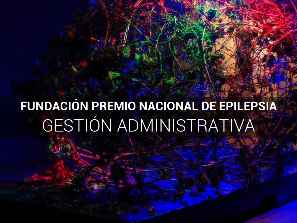 FUNDACIÓN PREMIO NACIONAL DE EPILEPSIA