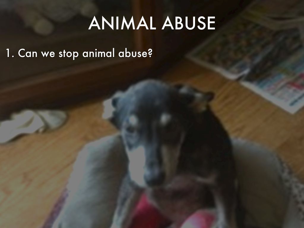 Animal Abuse