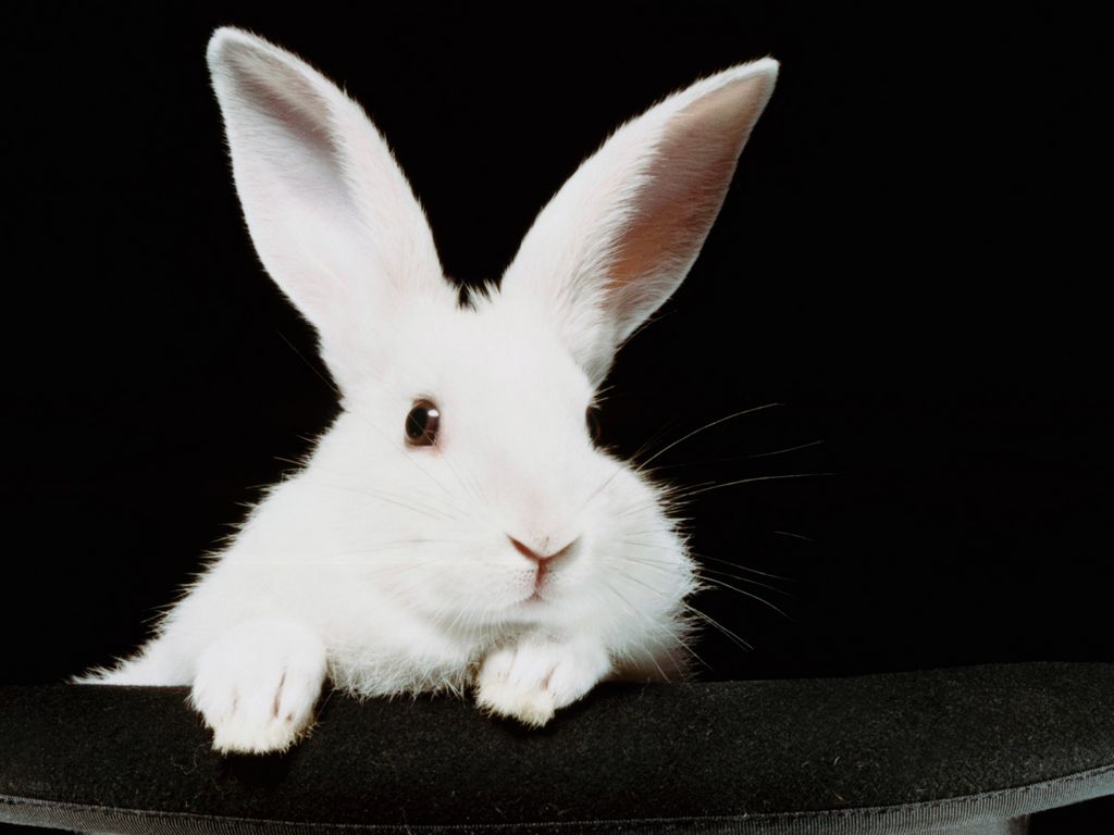 No hay fórmulas Mágicas