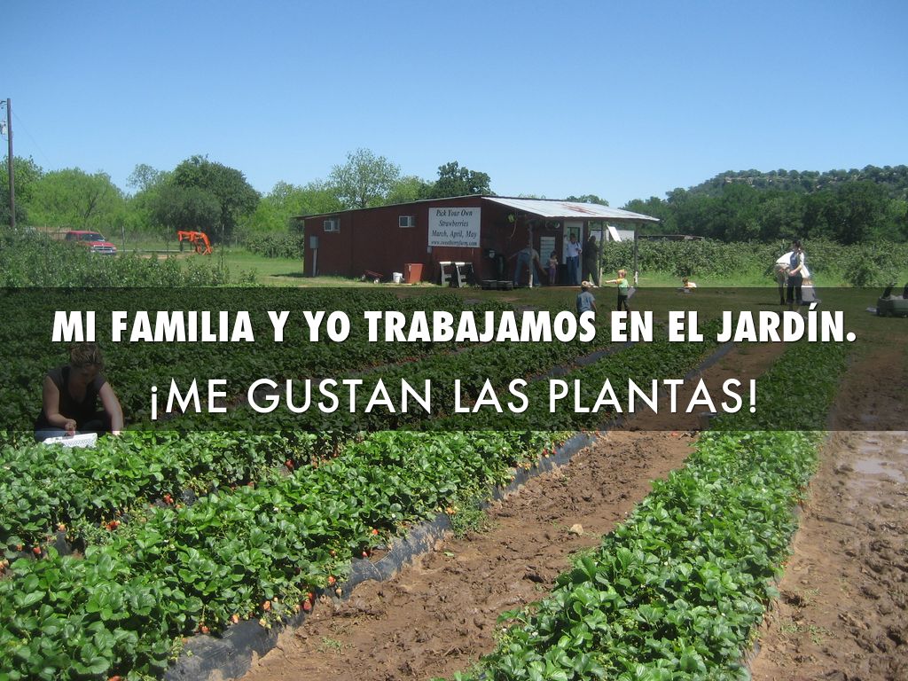 las estaciones by andreagchaffee