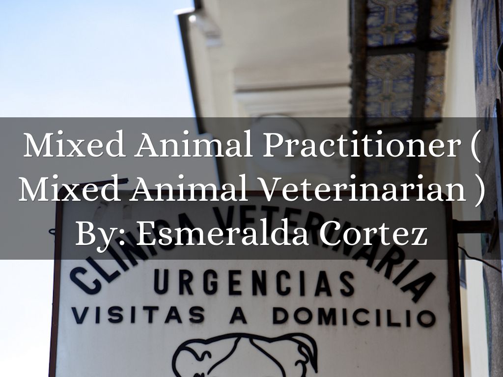Mixed Animal Practitioner ( Mixed Animal Veterinarian