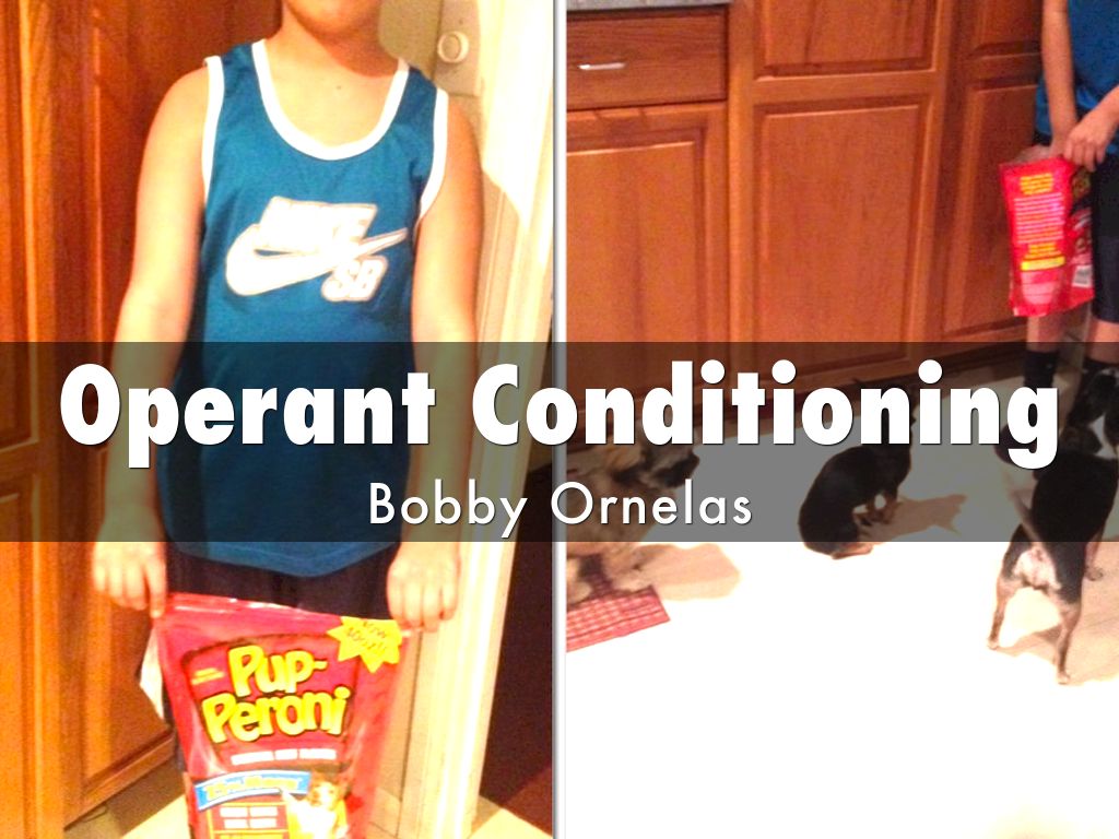 Operant Conditioning