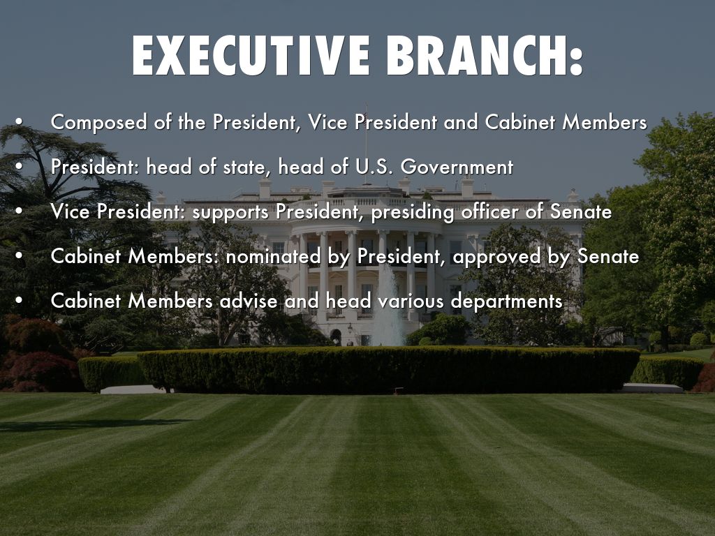 The Three Branches of Government by escott12